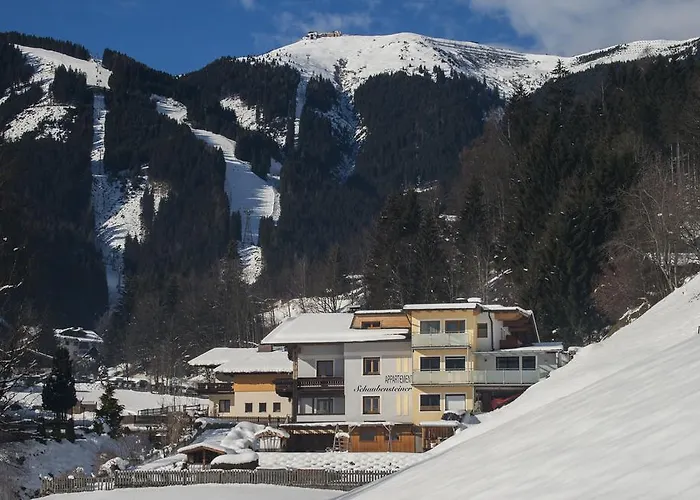 Schaubensteiner *