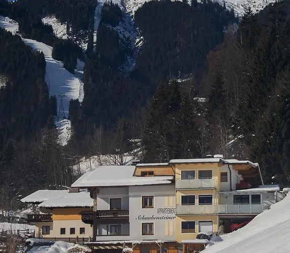 Schaubensteiner