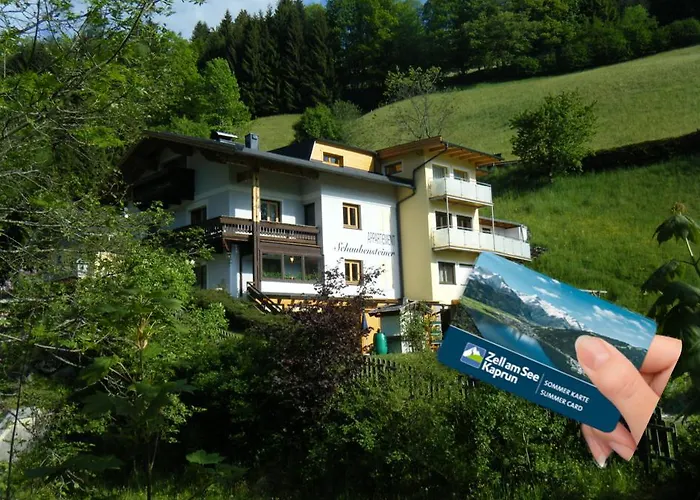 Schaubensteiner